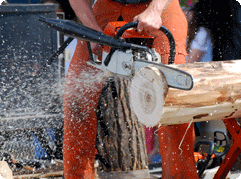 outdoor power equipment software